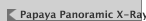 Papaya Panoramic X-Ray Machine